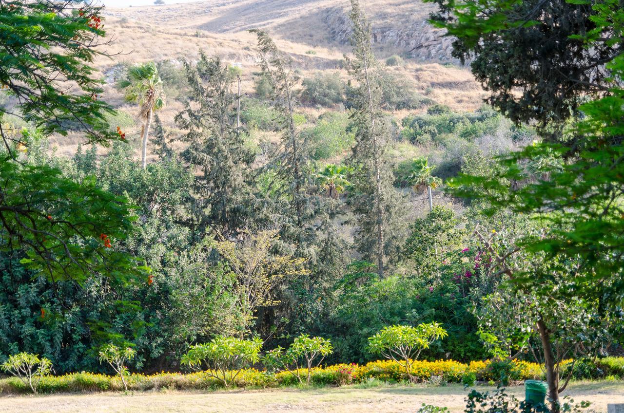 Bait Alfa Kibbutz Country Lodging Bet Alfa Værelse billede